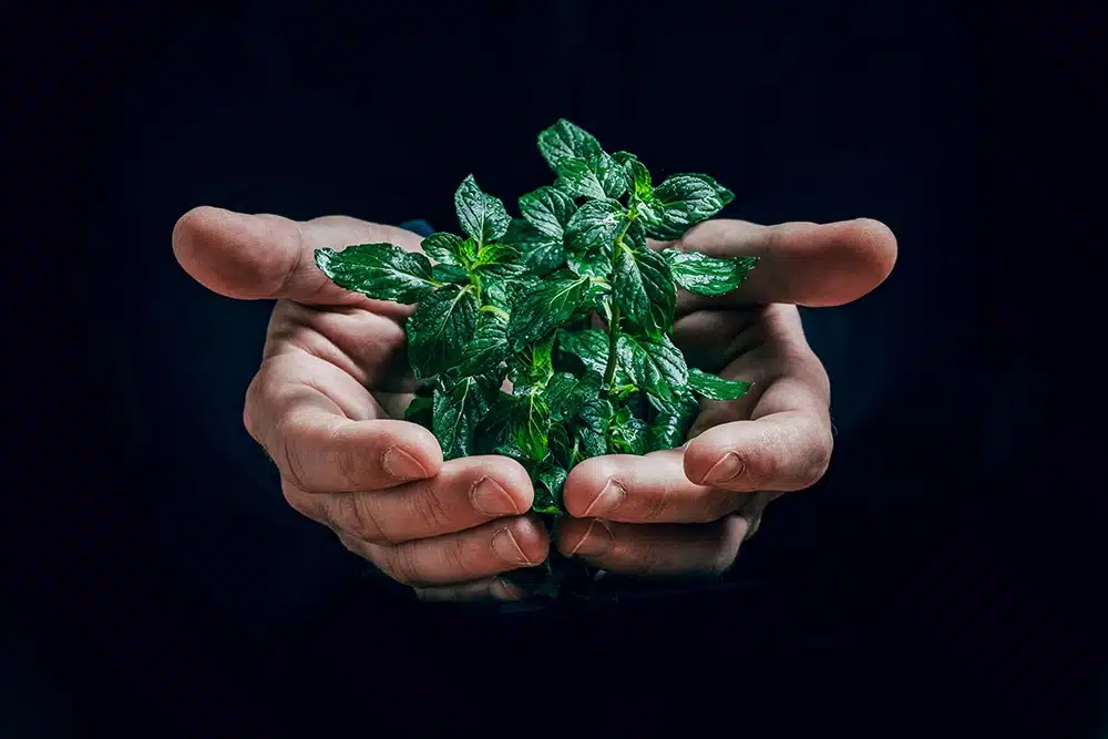 le dégrilleur lvt barthe conformité environnement